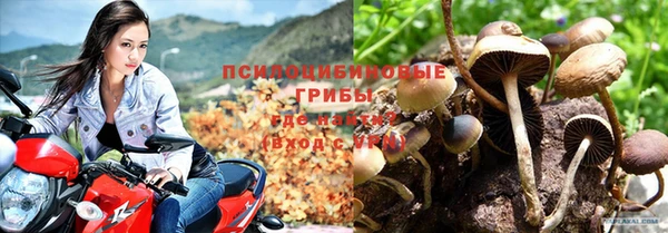 марихуана Майский