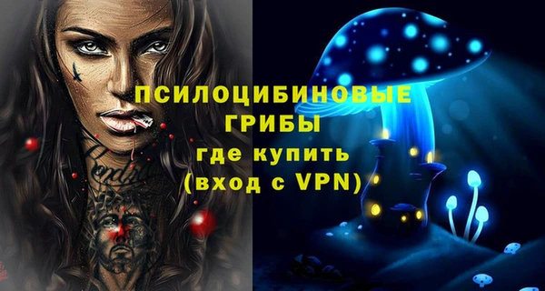 apvp Домодедово
