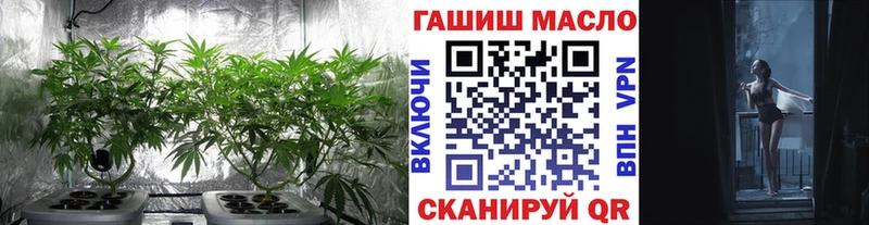 ТГК концентрат  кракен как войти  Новая Ладога  магазин продажи  