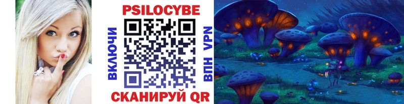 Псилоцибиновые грибы Cubensis  Новая Ладога 